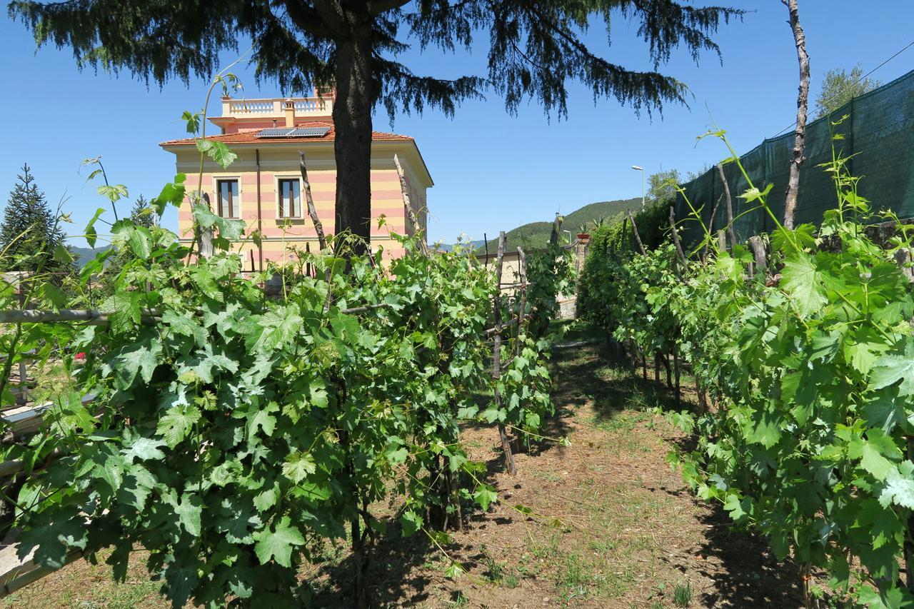 Villa Vincenza Vallo della Lucania Exterior foto