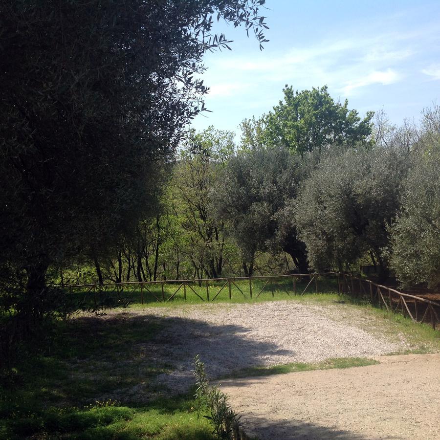 Villa Vincenza Vallo della Lucania Exterior foto