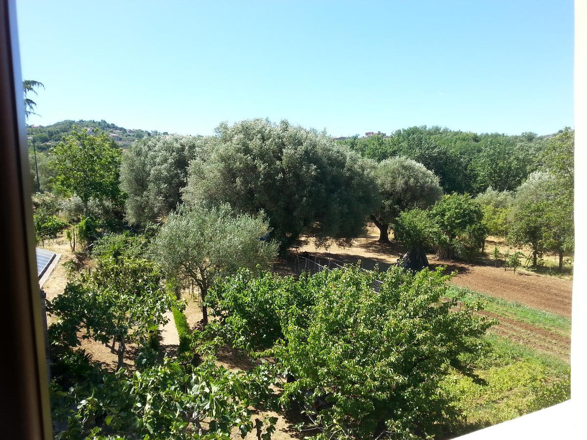 Villa Vincenza Vallo della Lucania Exterior foto